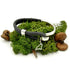 Maine Outline Cork Bracelet